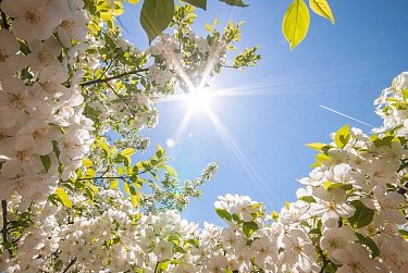 Мир, труд, май!